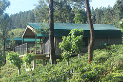 Madulkelle Tea & Eco Lodge - our 'tent'