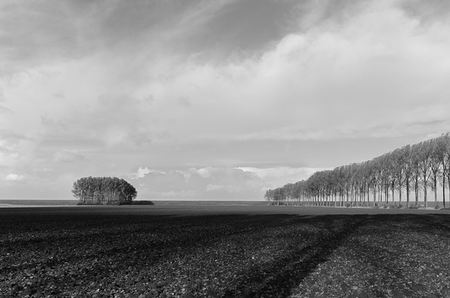 Dutch Landscape II