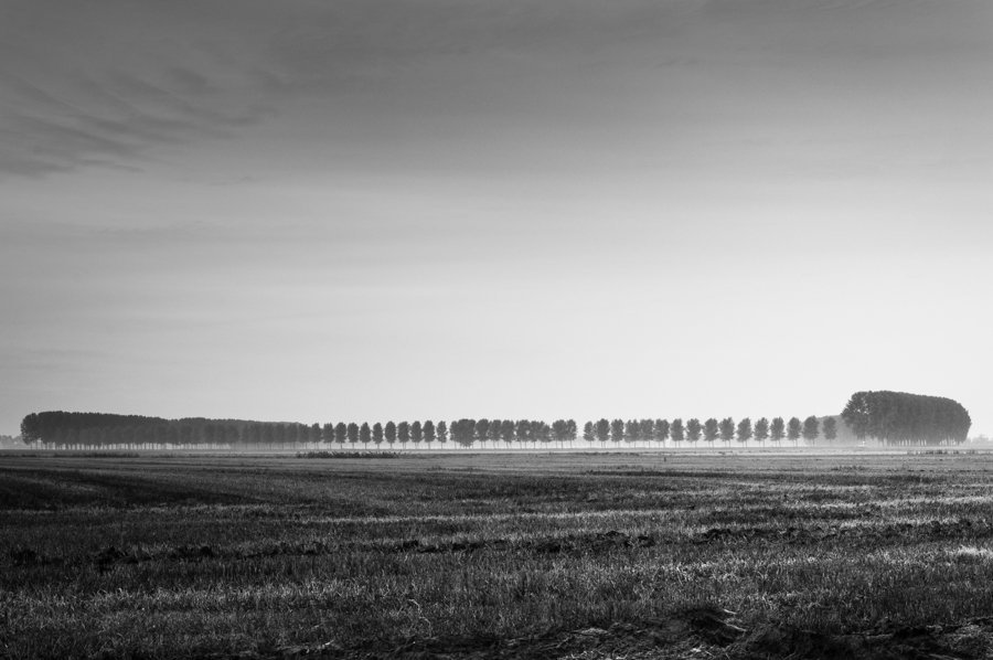 Dutch Landscape I