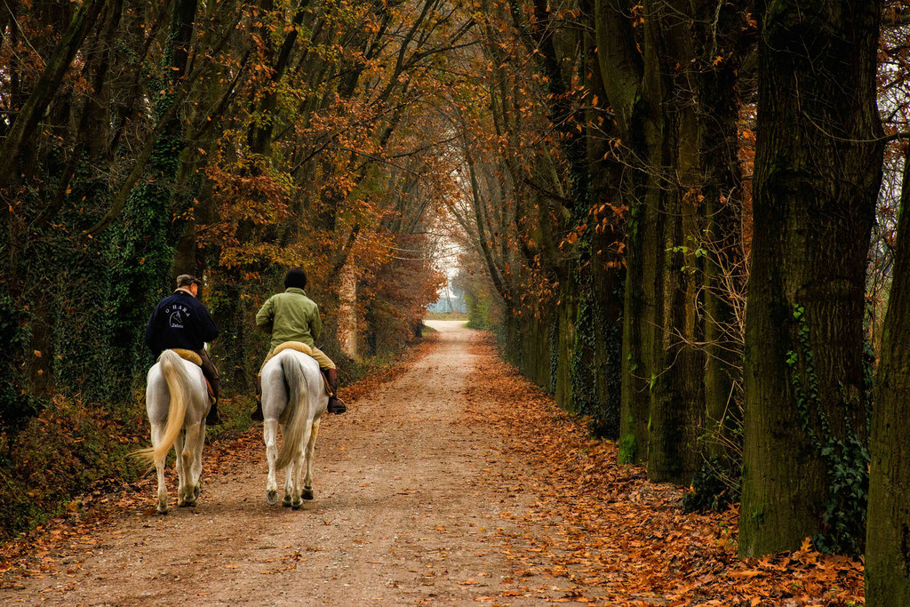 The avenue enchanted..Il viale incantato ...