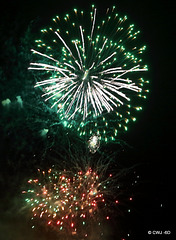 IMG 4519
