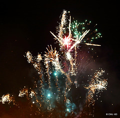 IMG 4524