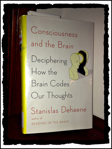 Consciousness and Brain