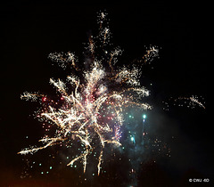IMG 4525