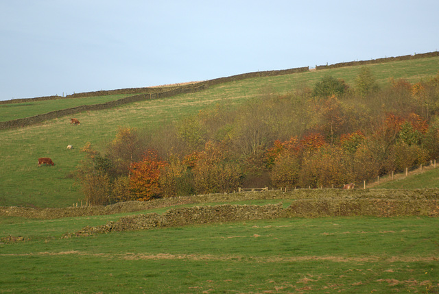 Autumn colours at Hayfield