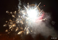 IMG 4526