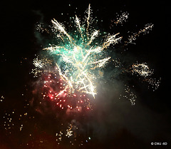 IMG 4527