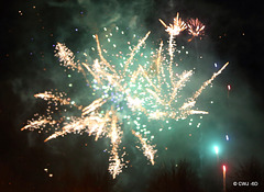 IMG 4528