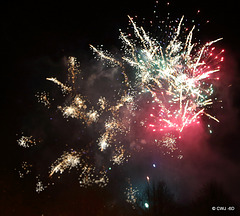 IMG 4529