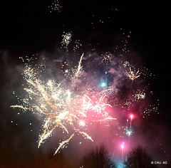 IMG 4531