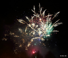 IMG 4532