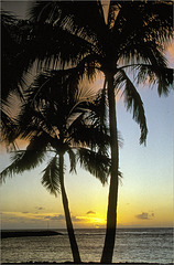 Hawaiian Sunrise - Kauai, Hawaii