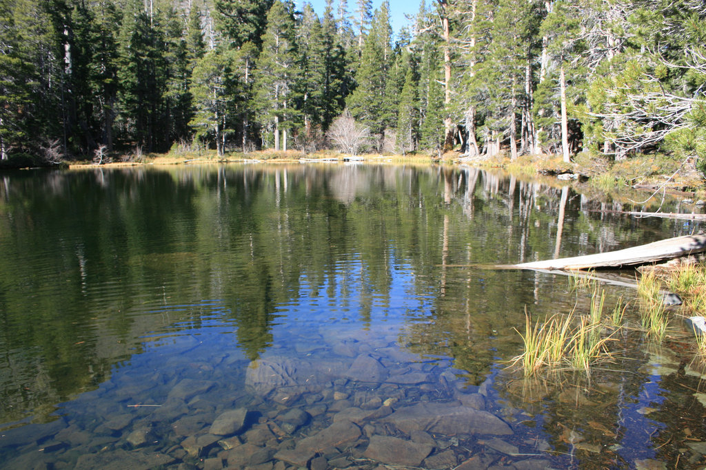 Floating Island Lake