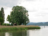 Idylle am See