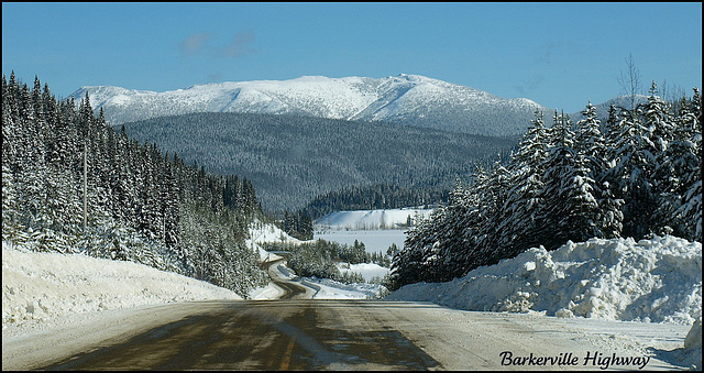 Barkerville Highway, BC