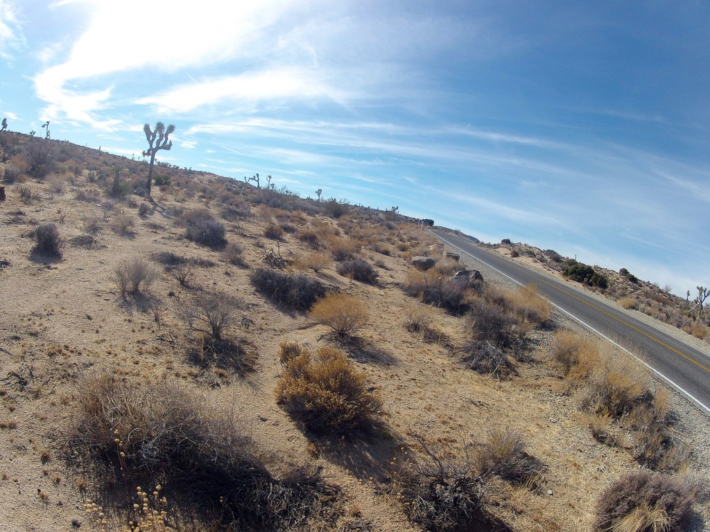 Near Jumbo Rocks (143203)