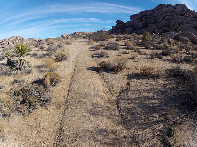 Trail To Crown Prince Lookout (145423)