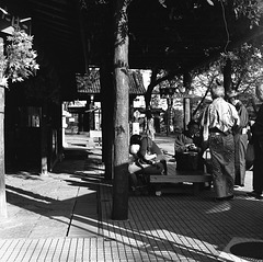 Group of elderly people in kimono