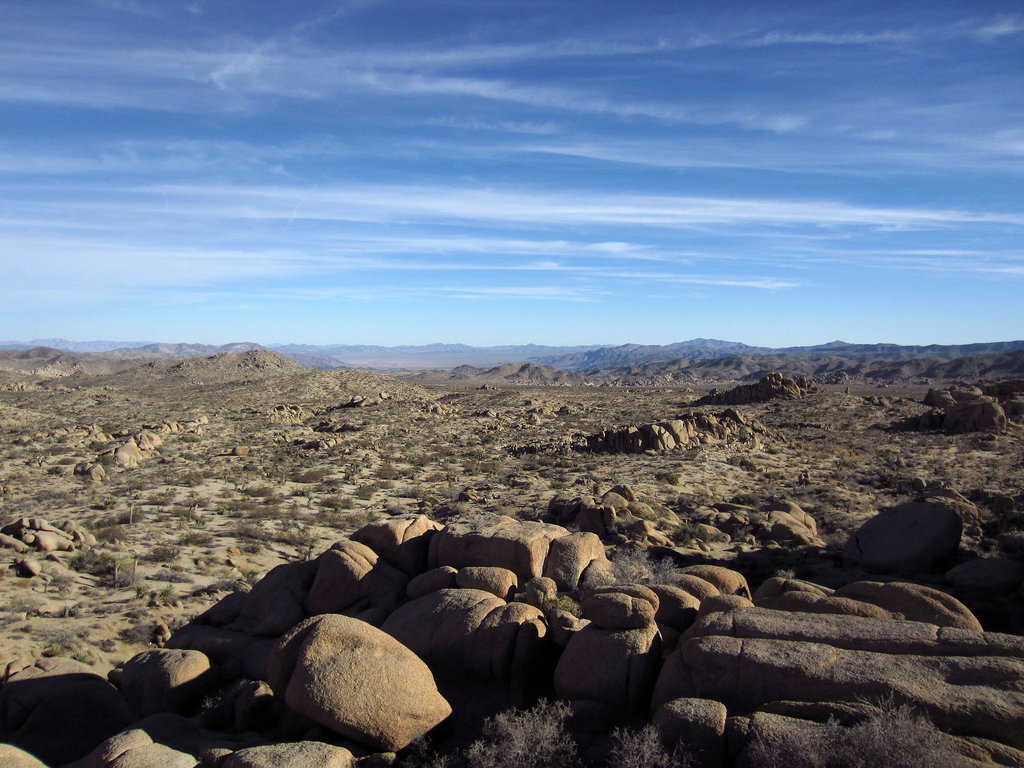 Crown Prince Lookout (2537)