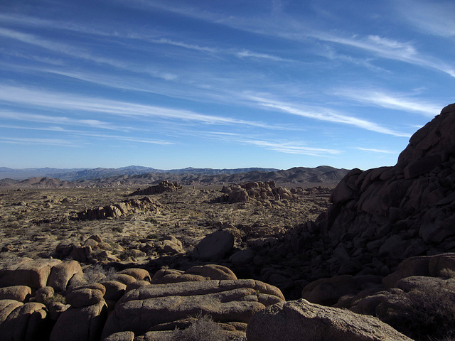 Crown Prince Lookout (2539)