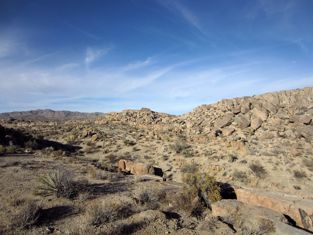 Crown Prince Lookout (2547)