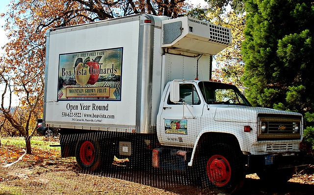 Boa Vista Orchards