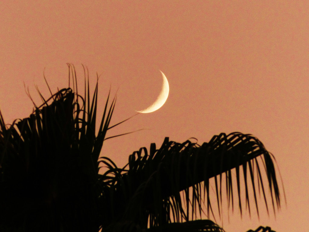 Playing With The Moon (8) - 27 October 2014