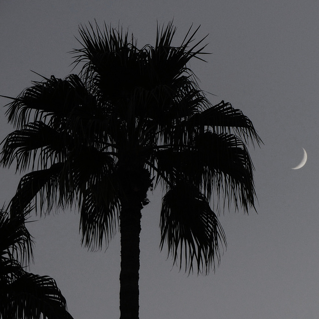 Playing With The Moon (9) - 27 October 2014