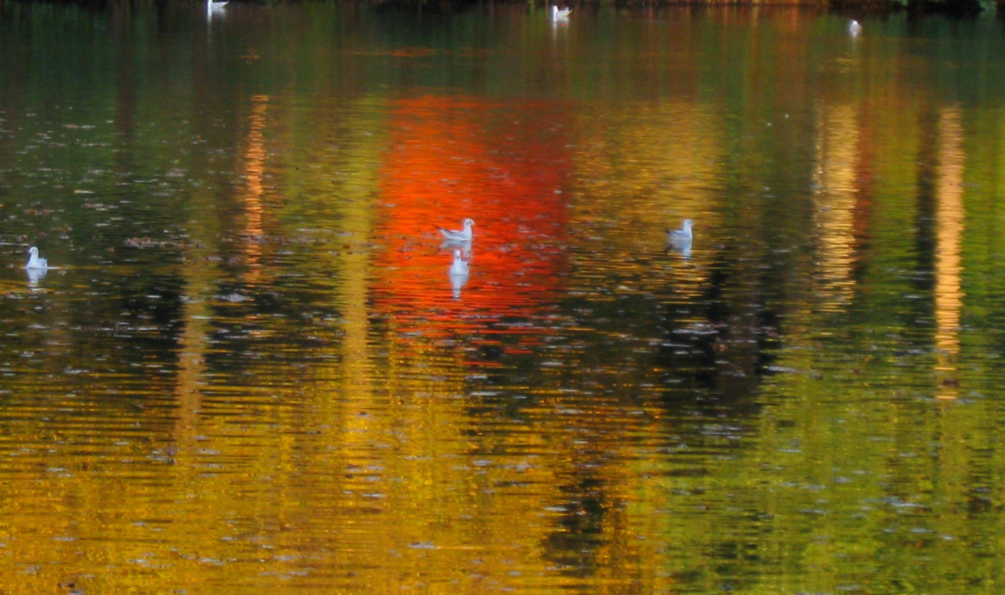 Monet lässt grüssen...