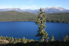 Fallen Leaf Lake