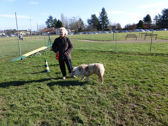 au club d'agility