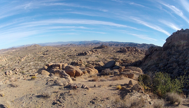 Crown Prince Lookout (151253)