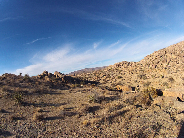 Crown Prince Lookout (151533)