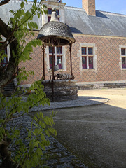 IMG 1246 IMG 1246