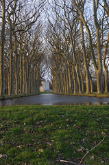 Le parc du château de Vauxrenard