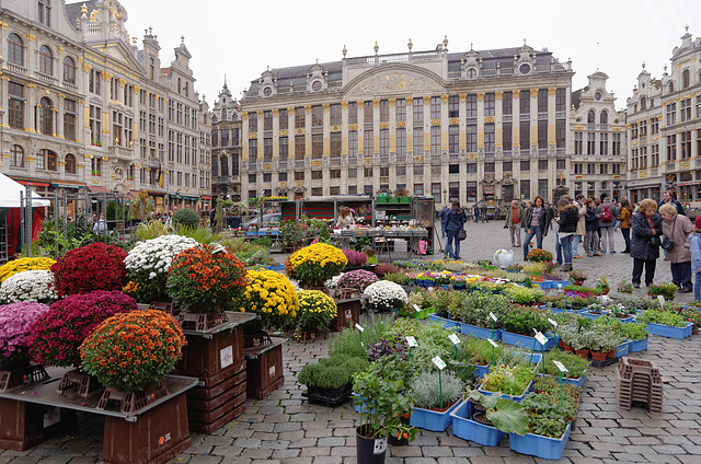 Marché aux fleurs sur la Grand-Place