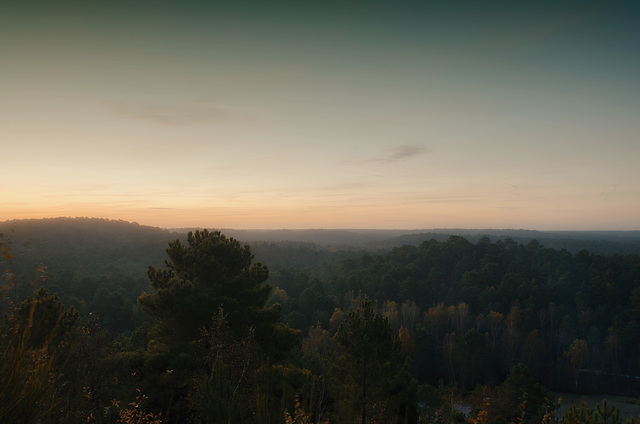 Forêt de Fontainebleau