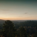 Forêt de Fontainebleau