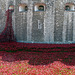 Tower & Poppies 3