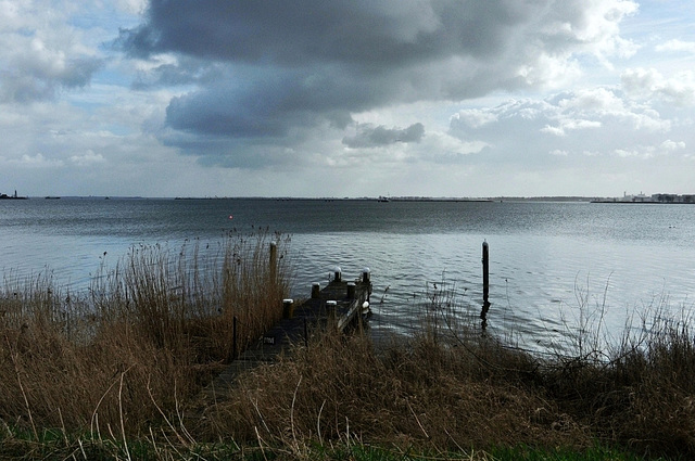 waterverf aan de Waterlandse zeedijk