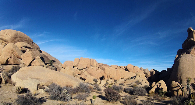 Near Jumbo Rocks (153434)