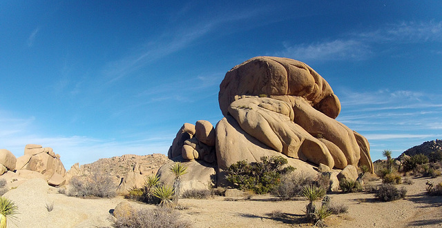 Near Jumbo Rocks (153634)