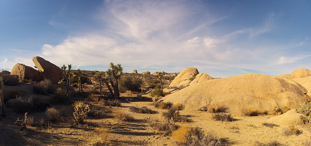 Near Jumbo Rocks (153834)