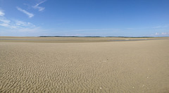 IMG 1335 IMG 1335