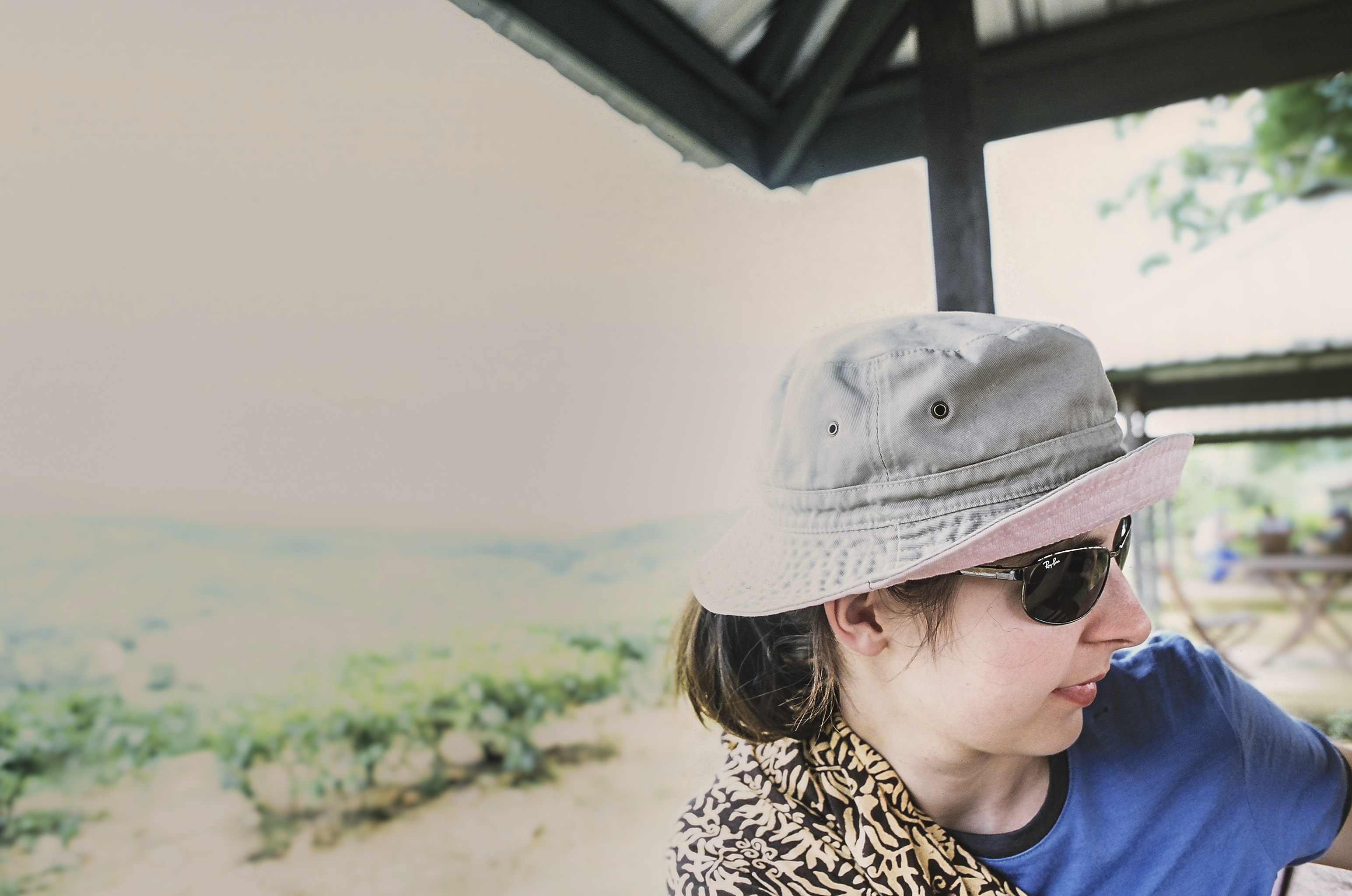 Resting in Sabah tea plantations