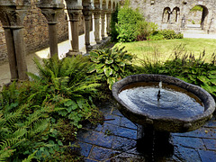 Daoulas - Abbaye Notre-Dame