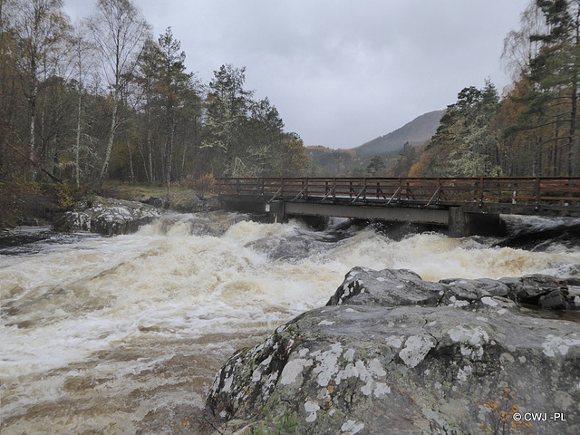 Dog Falls in spate, Glen Affric