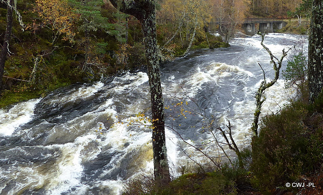 Glen Affric