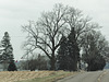 Farmyard, St Joe Highway