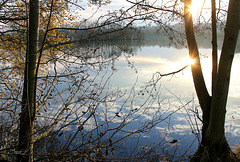 douceur de novembre